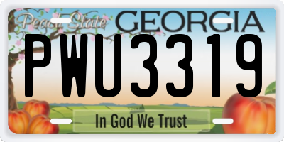 GA license plate PWU3319