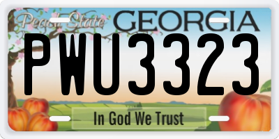 GA license plate PWU3323