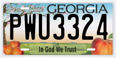 GA license plate PWU3324