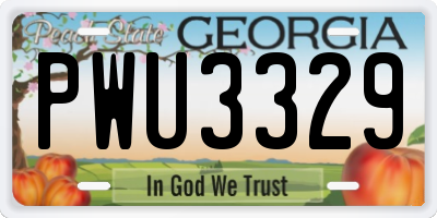 GA license plate PWU3329