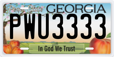 GA license plate PWU3333