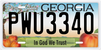 GA license plate PWU3340