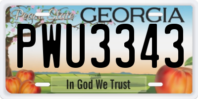 GA license plate PWU3343