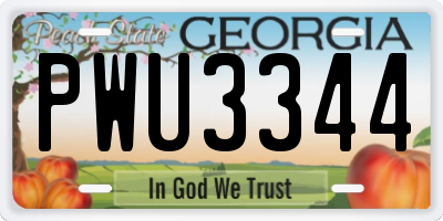 GA license plate PWU3344