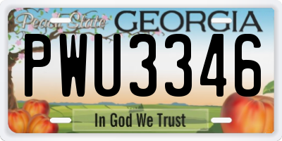 GA license plate PWU3346