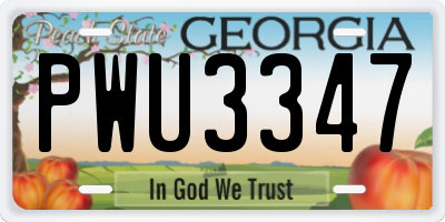 GA license plate PWU3347