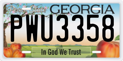 GA license plate PWU3358
