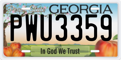 GA license plate PWU3359