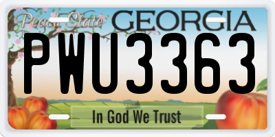 GA license plate PWU3363