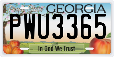 GA license plate PWU3365