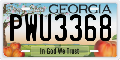GA license plate PWU3368