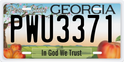 GA license plate PWU3371