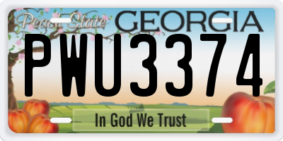 GA license plate PWU3374