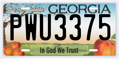 GA license plate PWU3375