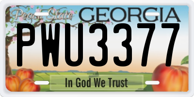 GA license plate PWU3377