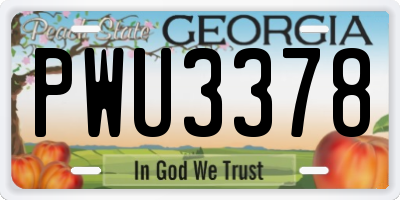 GA license plate PWU3378