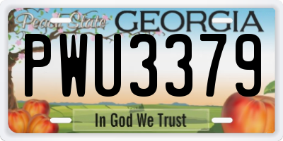 GA license plate PWU3379