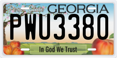 GA license plate PWU3380