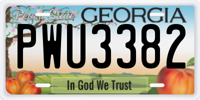 GA license plate PWU3382