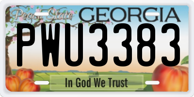 GA license plate PWU3383