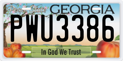 GA license plate PWU3386