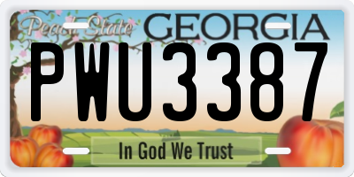 GA license plate PWU3387