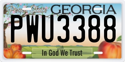 GA license plate PWU3388