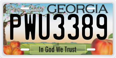GA license plate PWU3389