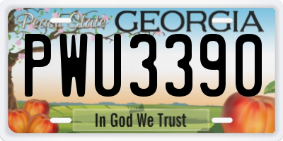 GA license plate PWU3390
