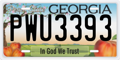 GA license plate PWU3393
