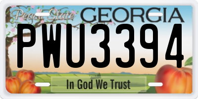 GA license plate PWU3394