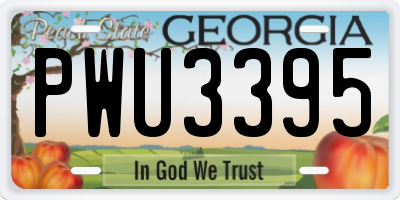 GA license plate PWU3395