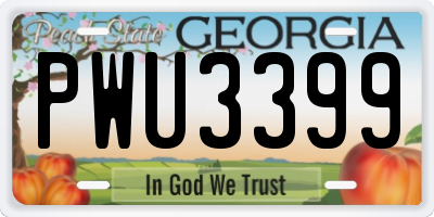 GA license plate PWU3399