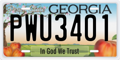 GA license plate PWU3401