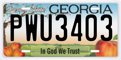 GA license plate PWU3403