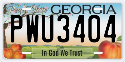 GA license plate PWU3404