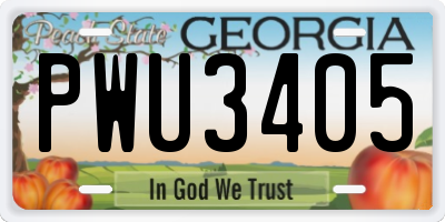 GA license plate PWU3405