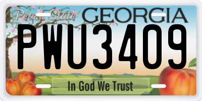 GA license plate PWU3409