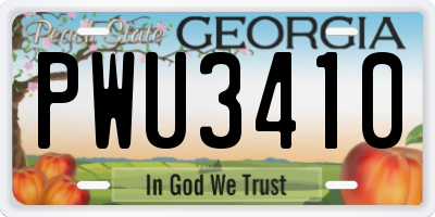 GA license plate PWU3410