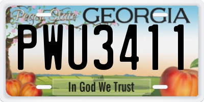 GA license plate PWU3411