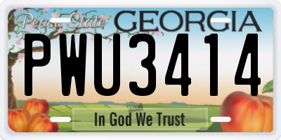 GA license plate PWU3414