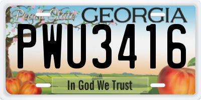 GA license plate PWU3416