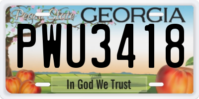 GA license plate PWU3418