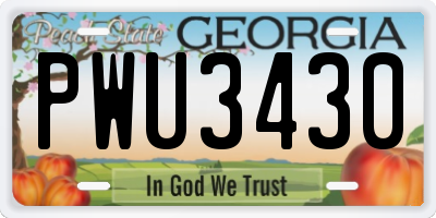 GA license plate PWU3430