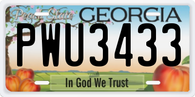 GA license plate PWU3433