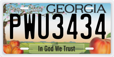 GA license plate PWU3434