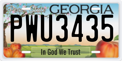 GA license plate PWU3435