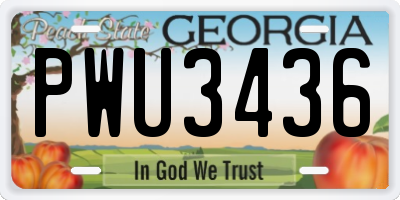 GA license plate PWU3436