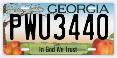 GA license plate PWU3440