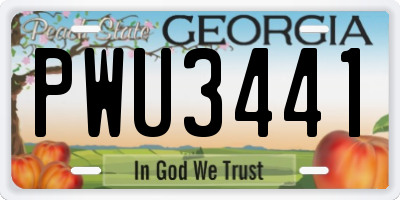 GA license plate PWU3441